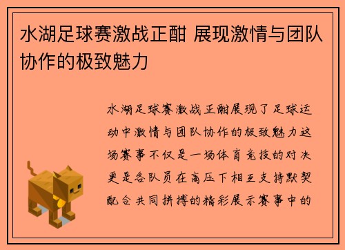 水湖足球赛激战正酣 展现激情与团队协作的极致魅力