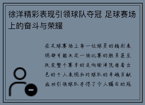 徐洋精彩表现引领球队夺冠 足球赛场上的奋斗与荣耀