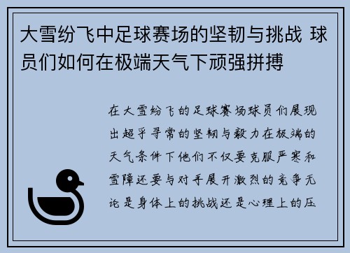 大雪纷飞中足球赛场的坚韧与挑战 球员们如何在极端天气下顽强拼搏