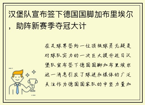 汉堡队宣布签下德国国脚加布里埃尔，助阵新赛季夺冠大计