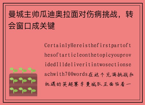 曼城主帅瓜迪奥拉面对伤病挑战，转会窗口成关键