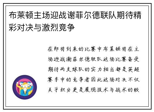 布莱顿主场迎战谢菲尔德联队期待精彩对决与激烈竞争
