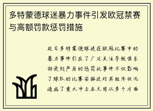 多特蒙德球迷暴力事件引发欧冠禁赛与高额罚款惩罚措施