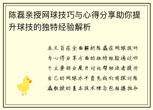 陈磊亲授网球技巧与心得分享助你提升球技的独特经验解析