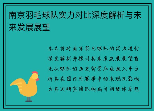 南京羽毛球队实力对比深度解析与未来发展展望